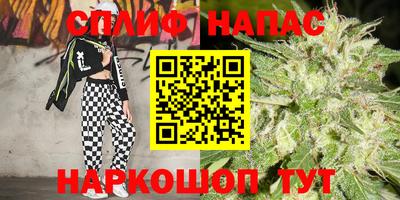 молекула духа Обь