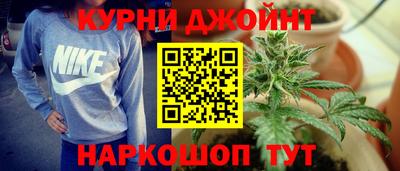 сатива Обнинск